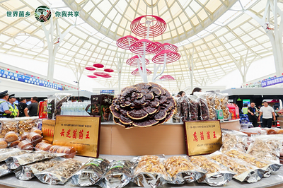 云南南華 菌旅與鮮果，邀您解鎖別樣清涼暑期